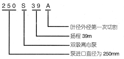 离心泵